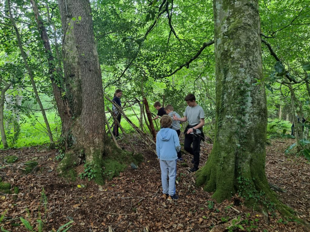 Young participants building a woodland shelter together during a bushcraft activity