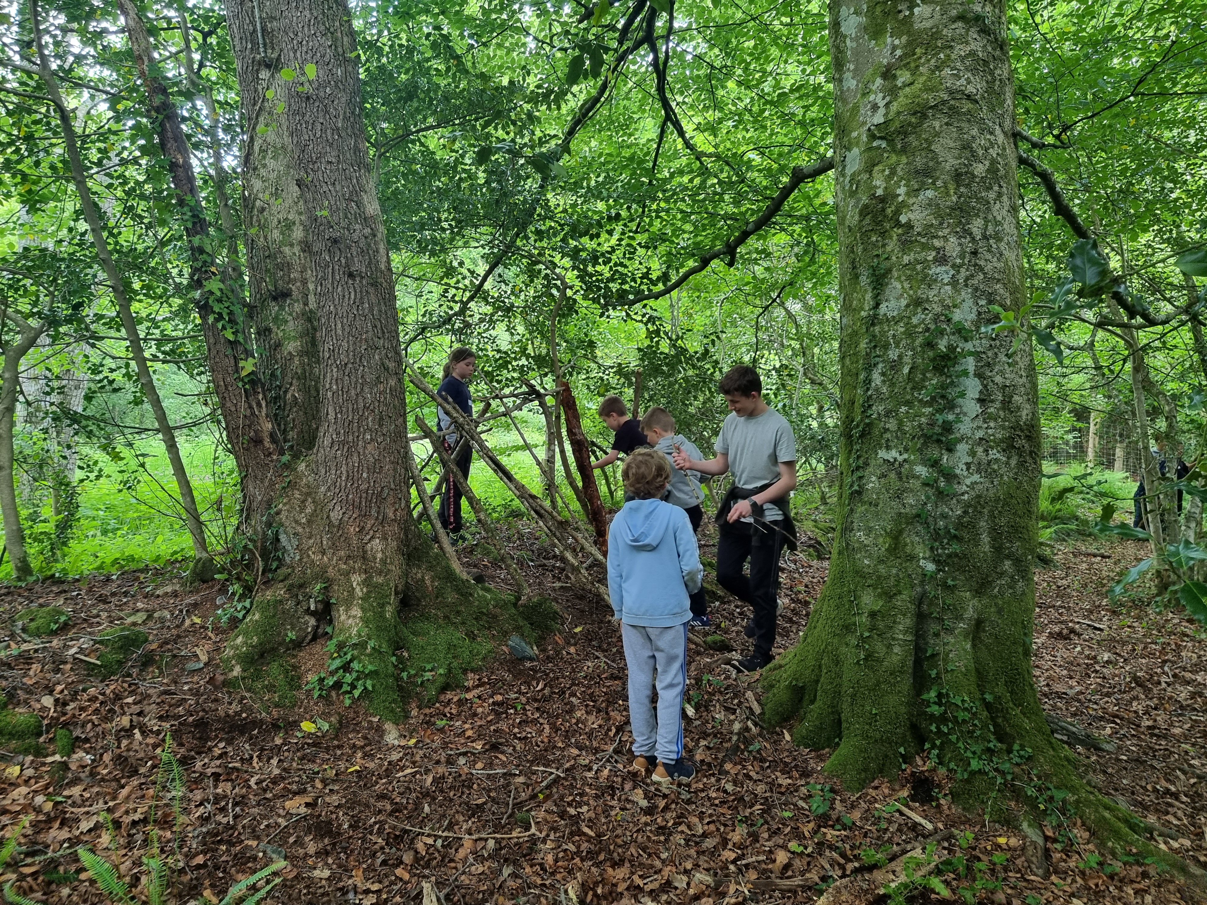 Young participants working together on a woodland shelter